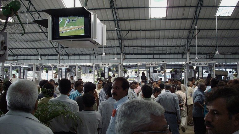 Crowd in a racecourse betting ring